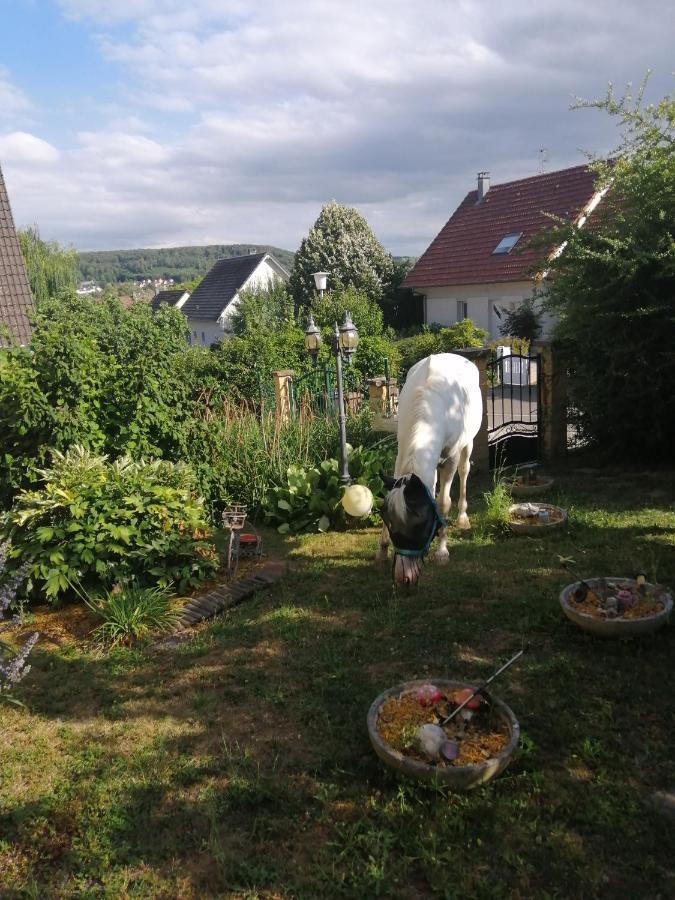Chez Olivier Et Josette Sur Mulhouse Sud Apartamento Illfurth Exterior foto
