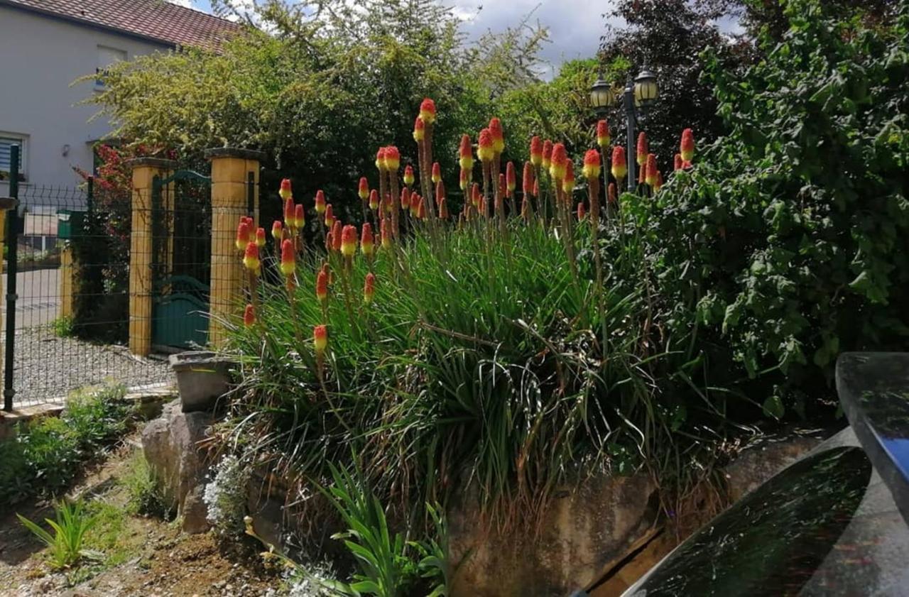Chez Olivier Et Josette Sur Mulhouse Sud Apartamento Illfurth Exterior foto