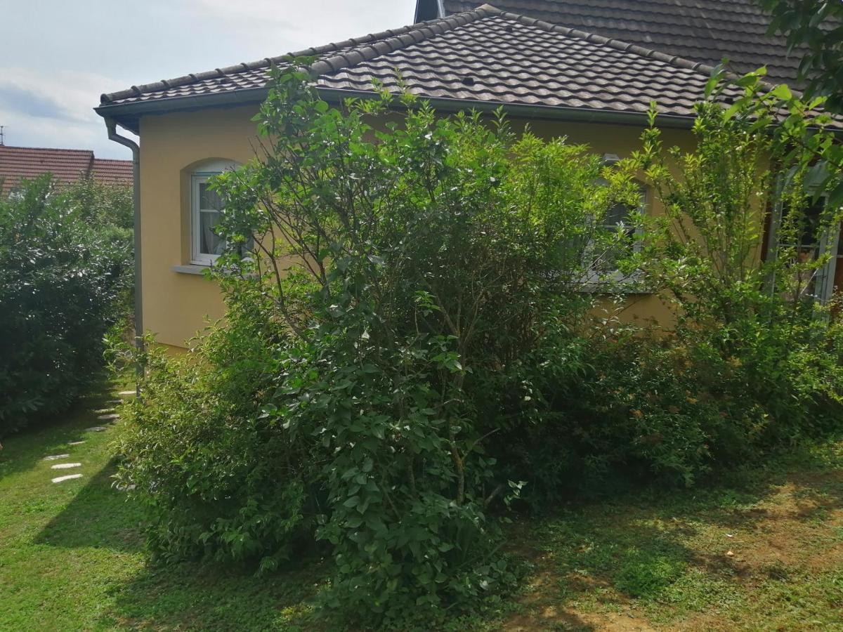 Chez Olivier Et Josette Sur Mulhouse Sud Apartamento Illfurth Exterior foto